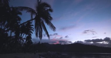 Sahilde gün batımında Palmiye Ağacı, Palawan Adası 'nda teknelerle