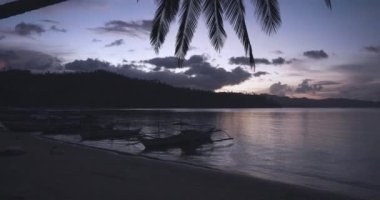 Sahilde gün batımında Palmiye Ağacı, Palawan Adası 'nda teknelerle