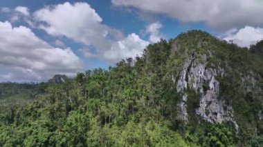 Palawan Adası, Filipinler 'in Ormanları Arasındaki Fazla Gelişmiş Kayalar, Hava Görüntüsü