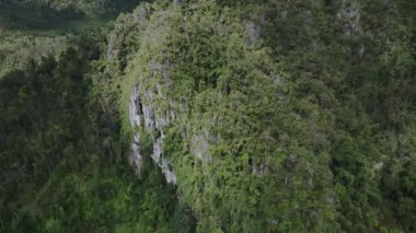 Palawan Adası, Filipinler 'in Ormanları Arasındaki Fazla Gelişmiş Kayalar, Hava Görüntüsü