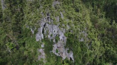 Palawan Adası, Filipinler 'in Ormanları Arasındaki Fazla Gelişmiş Kayalar, Hava Görüntüsü