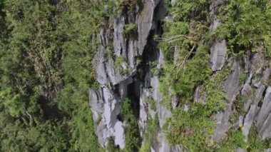 Palawan Adası, Filipinler 'in Ormanları Arasındaki Fazla Gelişmiş Kayalar, Hava Görüntüsü