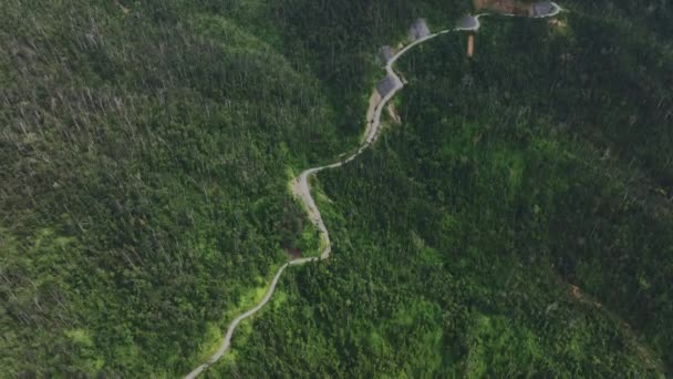 パラワン島の熱帯地方の細い道 空中写真 — ストック動画