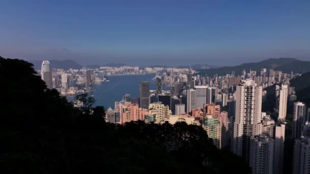 Flying Majestic Buildings Hong Kong Aerial View — стокове відео