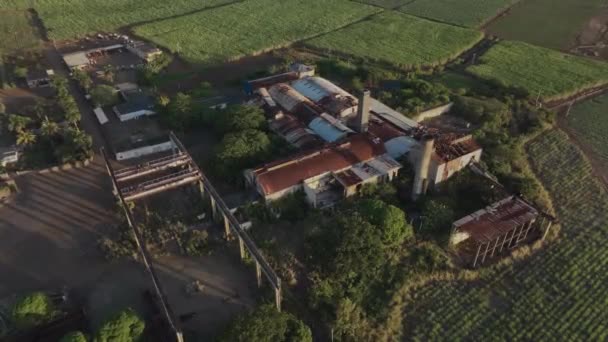 Mauritius Taki Eski Terk Edilmiş Fabrika Üretimi Hava Görünümü — Stok video