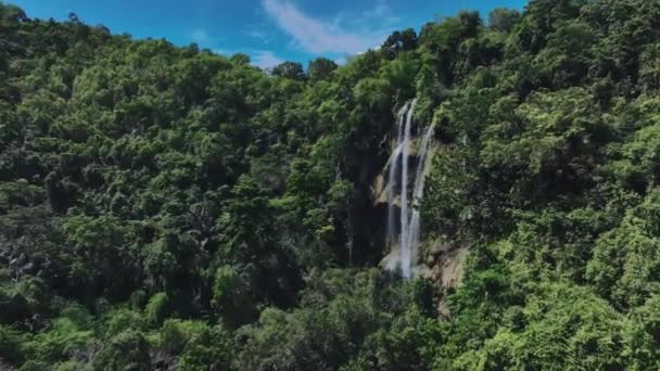 Cascada Tumalog Entre Las Selvas Isla Cebú Vista Aérea — Vídeo de stock