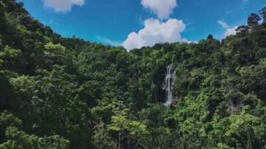 Cebu Adası 'nın Ormanları Arasındaki Tumalog Şelalesi, Hava Görünümü