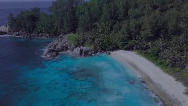 Rocks Waves Paradise Beach Seychelles Αεροφωτογραφία — Αρχείο Βίντεο