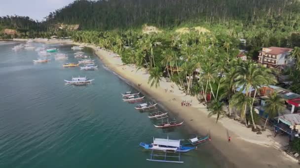 具有传统船只的巴顿港白色海滩 菲律宾巴拉旺 Aerial View — 图库视频影像