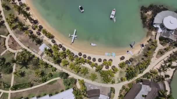 Paradise Beach Seaplane Coast Mauricius Letecký Pohled — Stock video