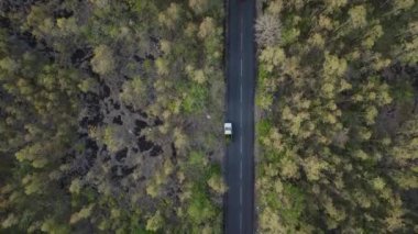 Ormanda Yollar Geçen Araçlarla, Hava Görüntüsü