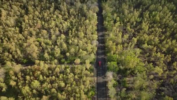Vägen Skogen Med Passerande Fordon Flygfoto — Stockvideo