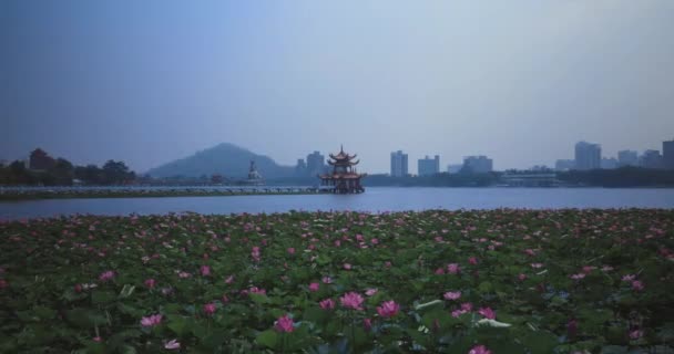 Wuliting Pagoda Pier Lago Lotus Kaohsiung Taiwan — Video Stock