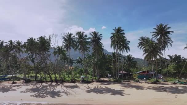 フィリピンのパラワン島にあるヤシの木と山 — ストック動画