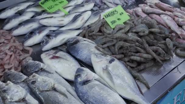 Fisch Und Meeresfrüchte Auf Dem Markt Türkei — Stockvideo