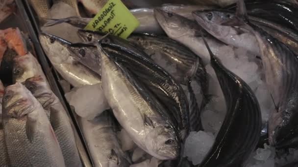Peixe Frutos Mar Mercado Counter Turquia — Vídeo de Stock