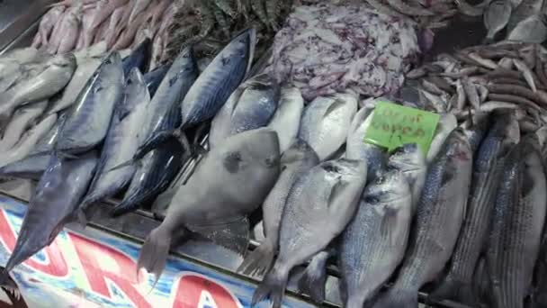 Pesce Frutti Mare Sul Bancone Del Mercato Turchia — Video Stock
