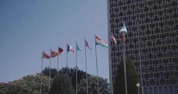 타슈켄트의 센터에 우즈베키스탄의 — 비디오