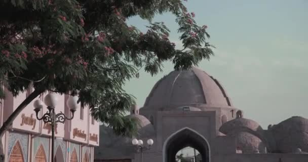 Mercado Comercial Old Dome Bujará Uzbekistán — Vídeos de Stock