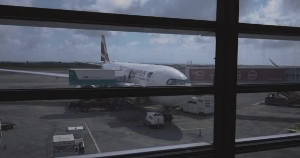 Flugzeug Internationalen Flughafen Mauritius Blick Von Teminal — Stockvideo