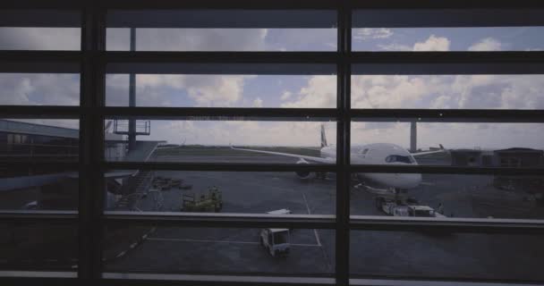 Plane Mauritius International Airport View Teminal — Stock Video