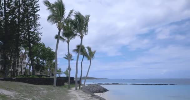 Розкішні Місця Відпочинку Узбережжі Маврикію Курорт — стокове відео