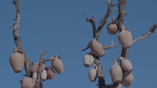 Authentic Oriental Jugs Tree Cappadocia Turkey — Stock video