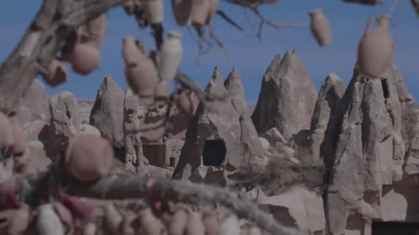 土耳其卡帕多西亚一棵树上的真东方水壶 — 图库视频影像