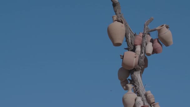 카파도키아 터키에서 나무에 주전자 — 비디오