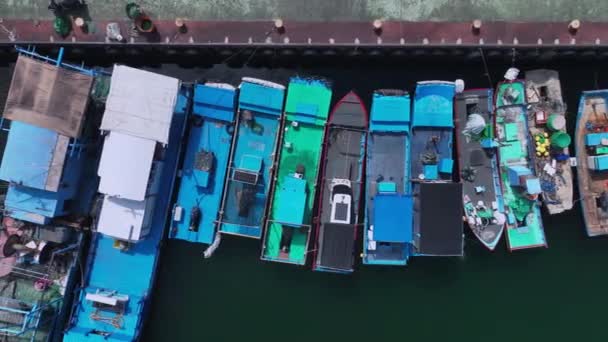 Boten Hualien Fishing Port Taiwan Luchtfoto — Stockvideo