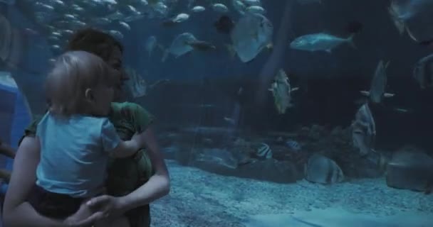 Äidit Poikansa Kanssa Suuressa Akvaariossa Katsoen Kalaa Rauskuja — kuvapankkivideo