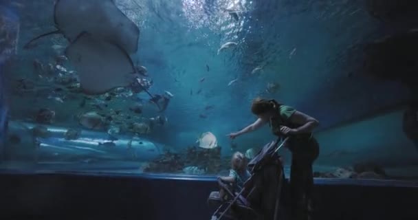 大規模な水族館で息子と母親 魚と刺青を見る — ストック動画