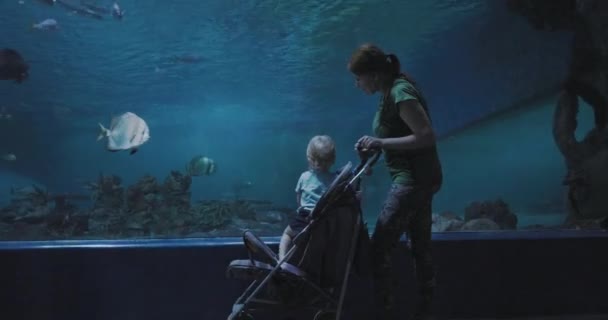 Mães Com Seu Filho Grande Aquário Olhando Para Peixes Arraias — Vídeo de Stock