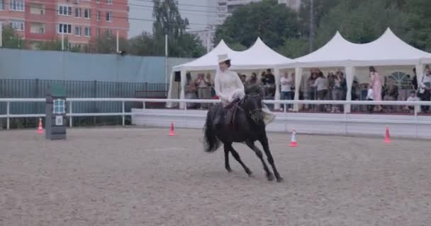 Ladies Horseback Equestrian — 비디오