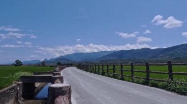 Tayvan 'ın Doğası, Pirinç Tarlalarının Zamanı