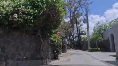 Mauritius 'a giden yolda, arabanın camından...