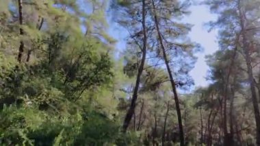 Araba Penceresinden Türkiye 'nin Yol Manzaraları