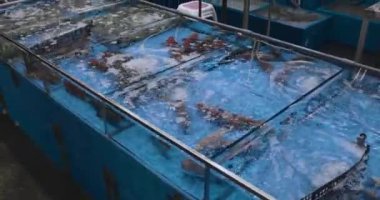 Hong Kong 'daki Asya pazarında karides ve deniz ürünleri.