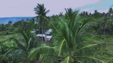 Filipinler 'deki Cebu Adası' nın Yeşil Ormanı, Hava Görüntüsü