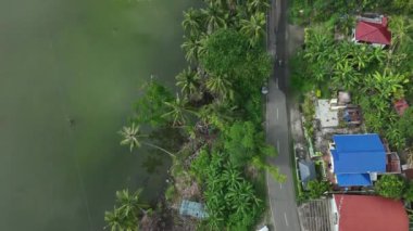 Cebu Adası 'ndaki Filipin Ormanı' nın Yolu, Havadan Bakış