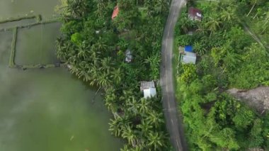 Cebu Adası 'ndaki Filipin Ormanı' nın Yolu, Havadan Bakış