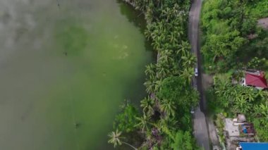 Cebu Adası 'ndaki Filipin Ormanı' nın Yolu, Havadan Bakış