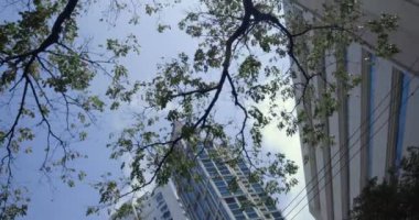 Modern Mimarlık: Manila, Makati Bölgesi, Filipinler