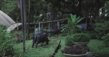 Modern Mimarlık: Manila, Makati Bölgesi, Filipinler