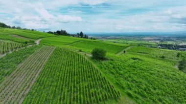 Fransa 'da Üzüm Bitkileri, Hava Görünümü