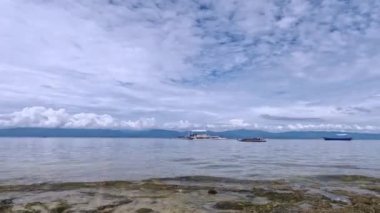 Filipinler 'in Zaman Çizelgesi, Vahşi Yaşam