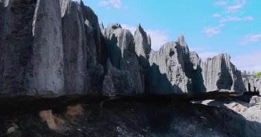 Madagaskar 'daki Benzersiz Tsingy de Bemaraha Taş Ormanı