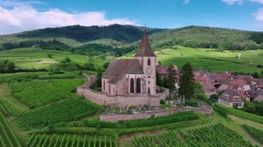 Hunawihr Fransız Köyü Üzüm bağları Arasında, Alsace Eyaleti, Hava Manzarası