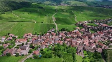 Hunawihr Fransız Köyü Üzüm bağları Arasında, Alsace Eyaleti, Hava Manzarası