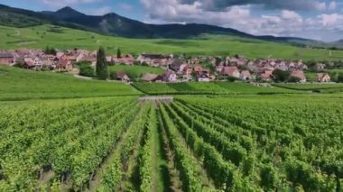 Hunawihr Fransız Köyü Üzüm bağları Arasında, Alsace Eyaleti, Hava Manzarası